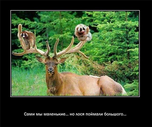 97b0b20934e3.jpg