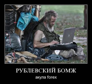 17a.jpg