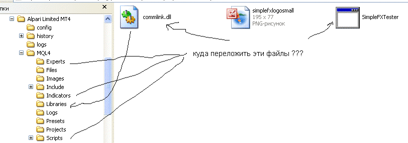 1.gif