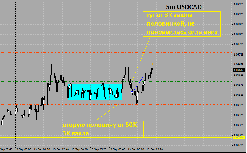 USDCAD5m.png