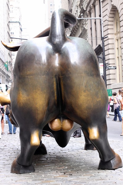 bull-new-york2.jpg