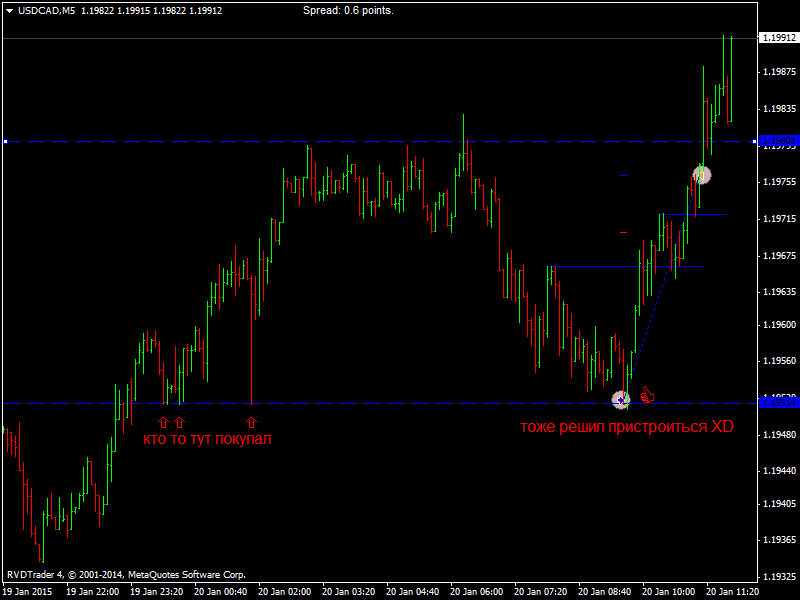 USDCADM5.png