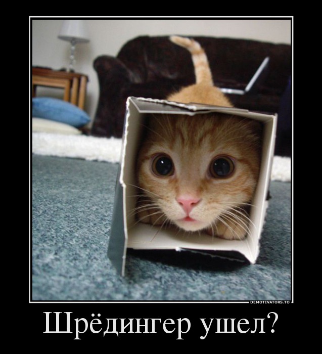 71655259_shryodinger-ushel.jpg