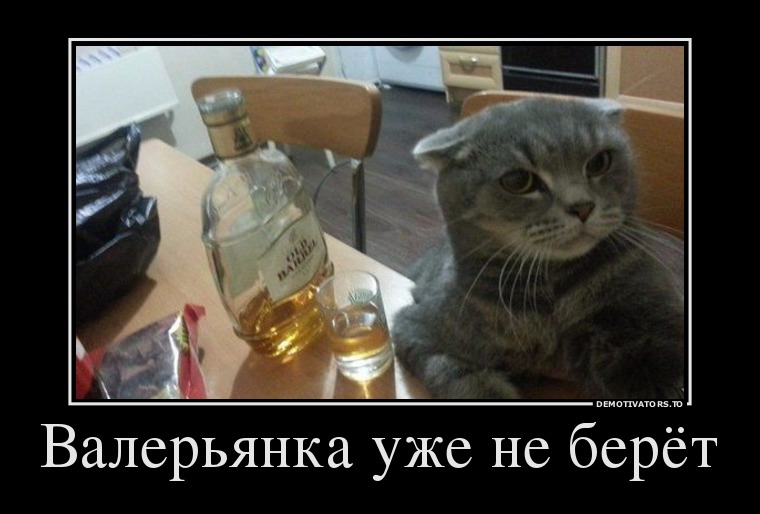 38424012_valeryanka-uzhe-ne-beryot.jpg