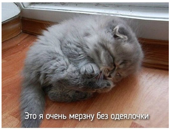 kote.png