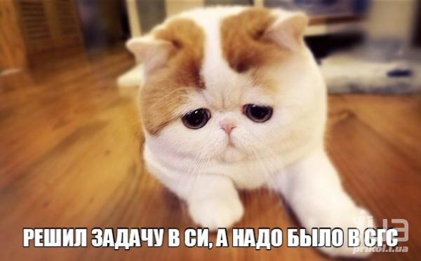 1046059.jpg