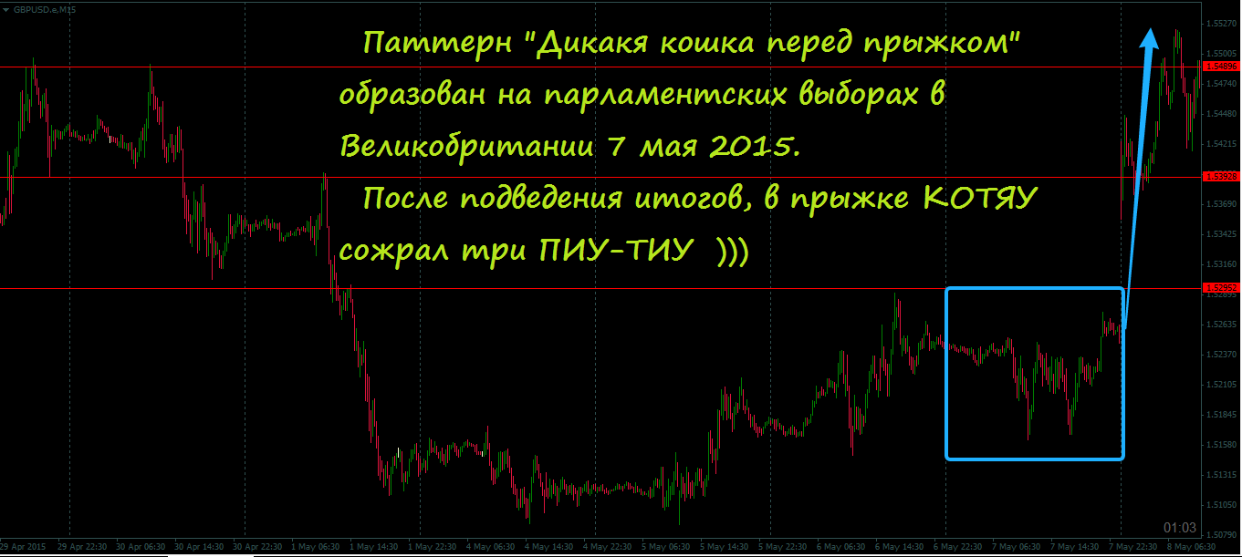 2_Паттерн_Дикакя_кошка_перед_прыжком.png