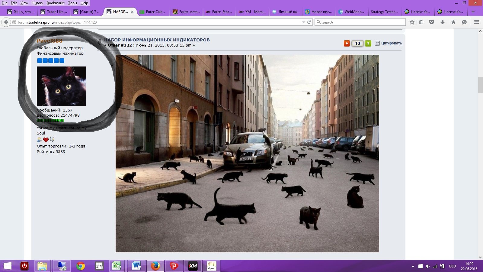 Screenshot_-_22_06.jpg
