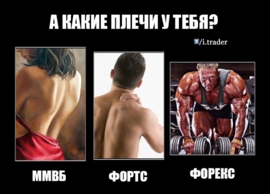 2a21b78ac8.jpg