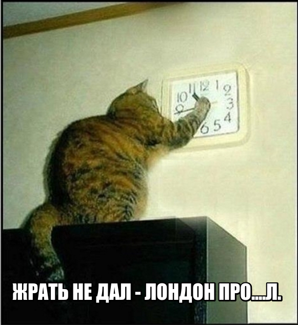lol1447508405.jpg