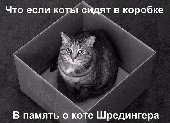 GS2vd32Lsn8.jpg