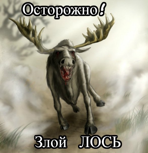 b5NFzmSgfMA.jpg