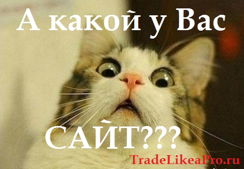 а_какой_у_вас_сайт.jpg