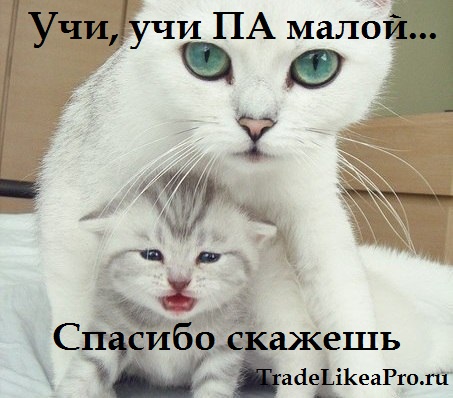 учи_ПА_сынок_благодарен_будешь.12121jpg.jpg