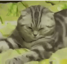 ru9gag.gif
