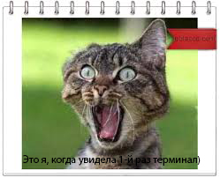 Первый_взгляд_на_рынок.jpg