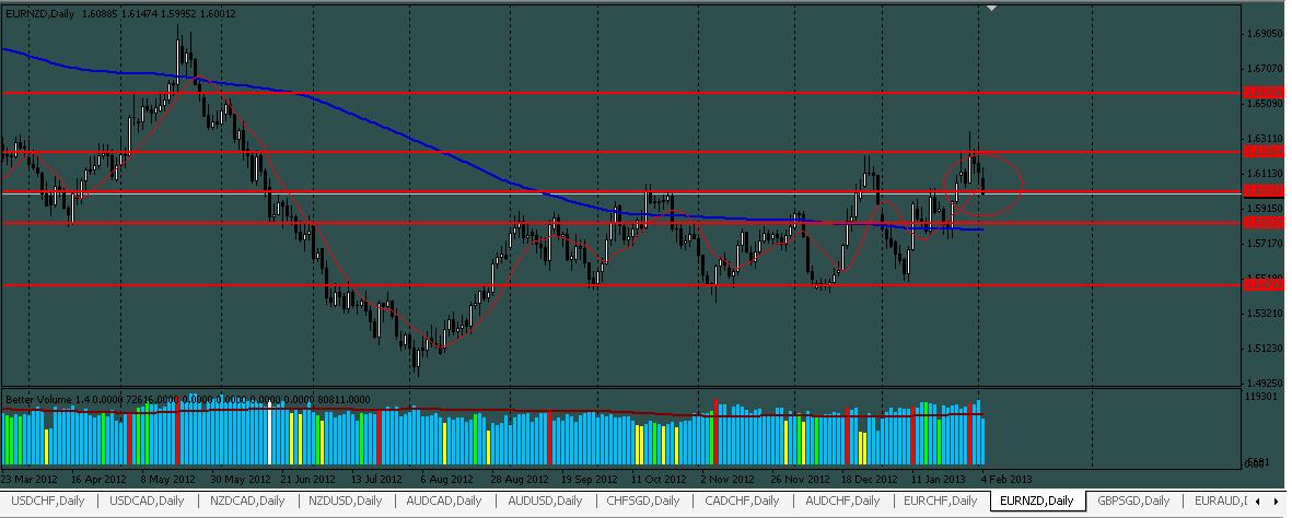 EURNZD-D1-04022013.JPG