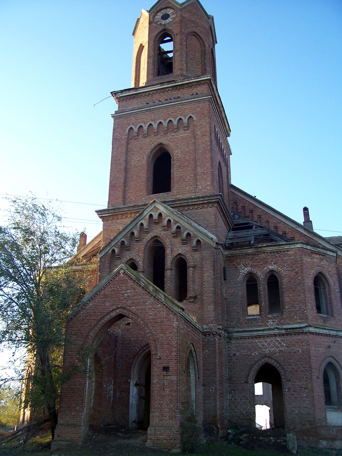 100_2528_2.jpg