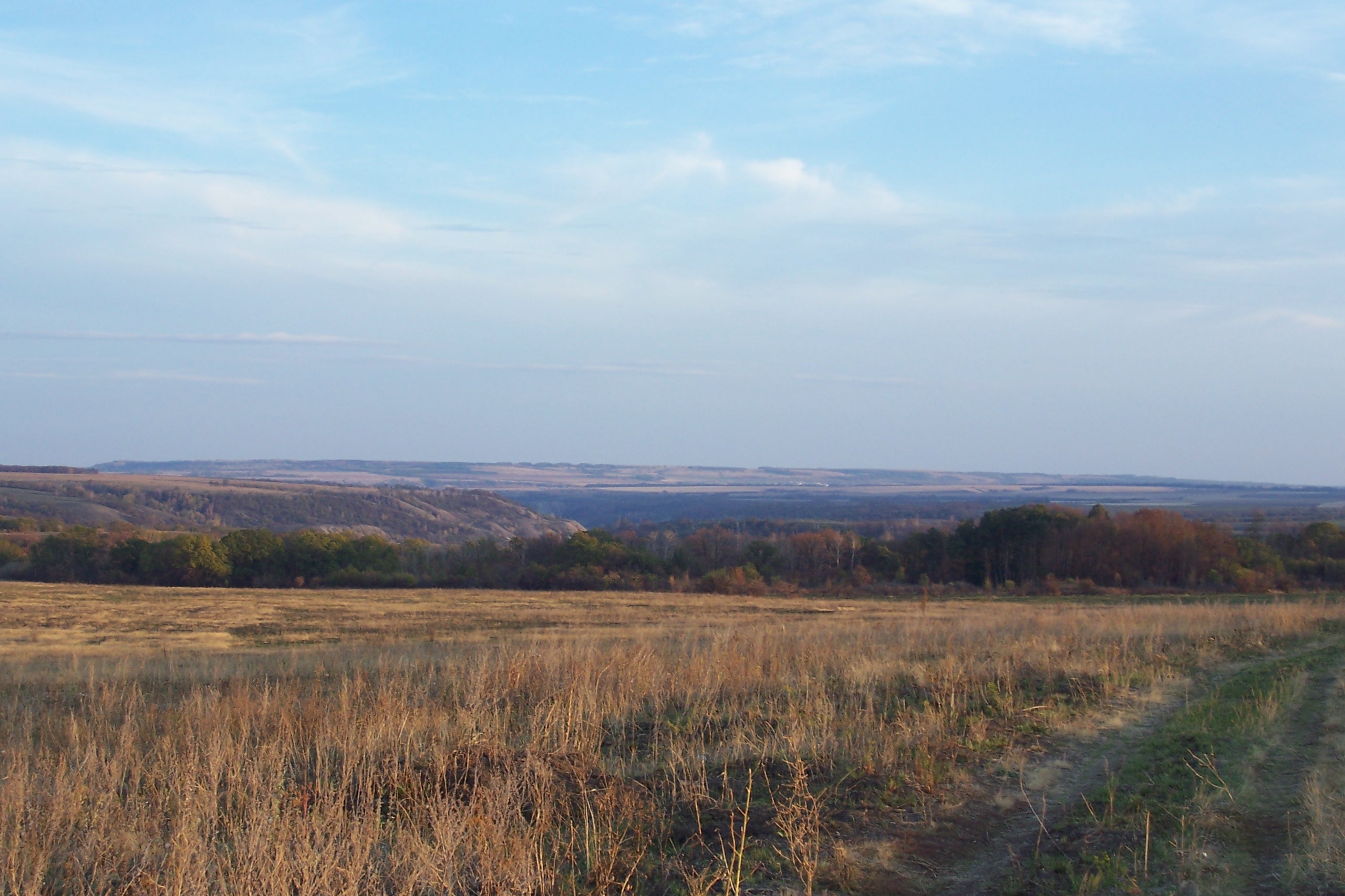 100_6917.JPG