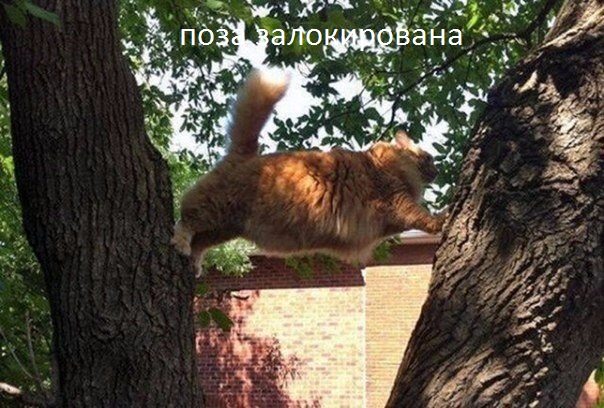 brDjPa-yzBQ.jpg
