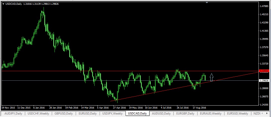 USDCAD_Daily.jpg