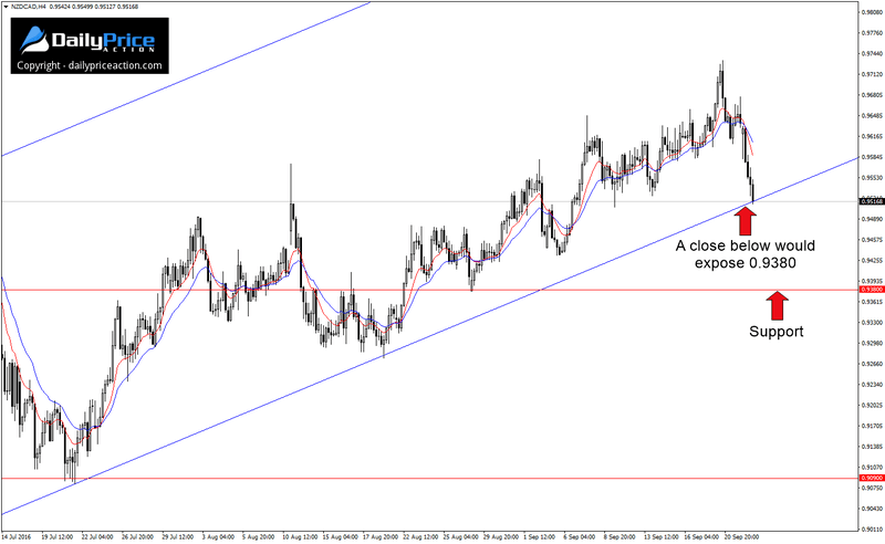 NZDCADH4_New-1.png