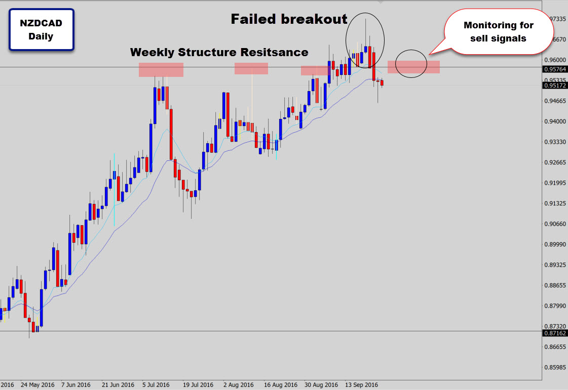 nzdcad-major-level.jpg