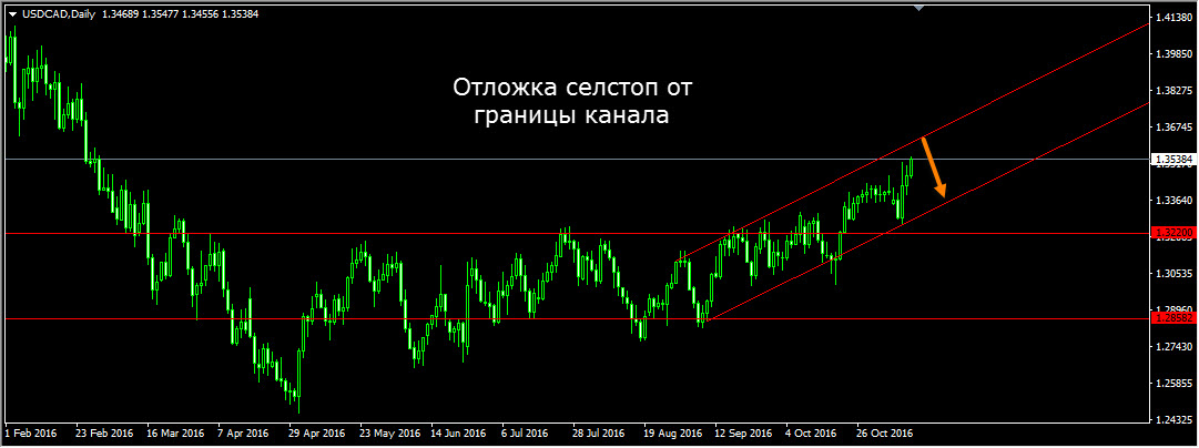 USDCAD_Daily.jpg