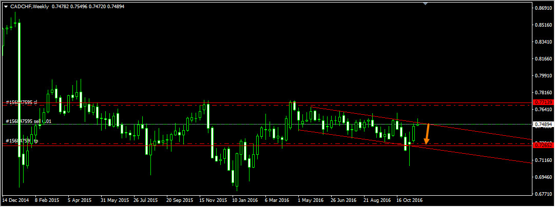 CADCHF_Weekly.jpg