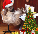 avatar_new_year.png