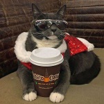 daily_picdump_2047_640_26.jpg
