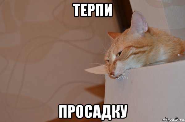 IMG_6648.JPG