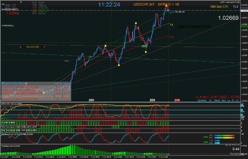 USDCHF_M1_2017.01.03-2.gif