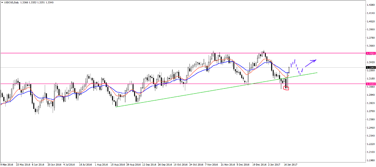 USDCADDaily.png