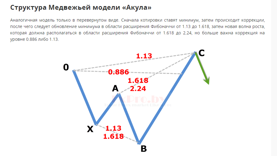 Акула1.PNG