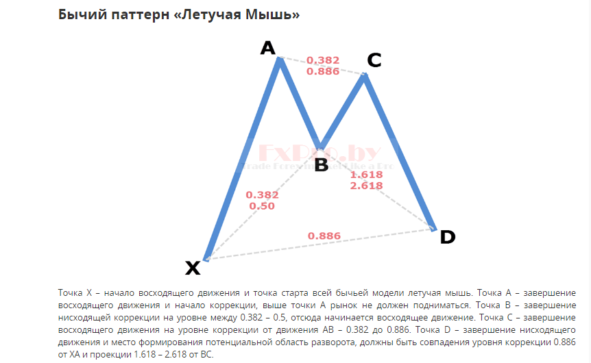 Летучая_мышь1.PNG