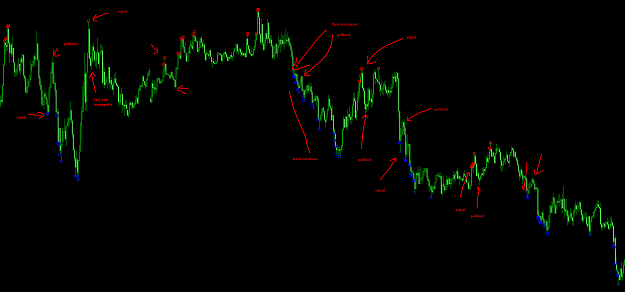 quantum60-10_forex.png