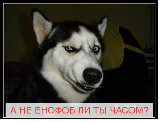 ЕНОФОБ.png
