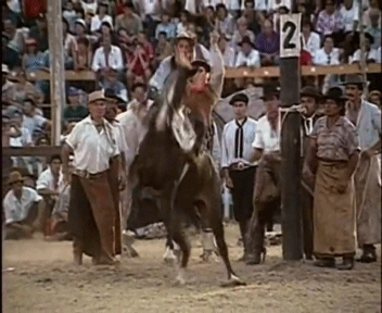 https__vk_com_vinevinevine_2.gif