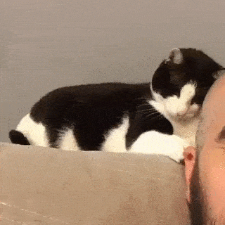 https__vk12_com_gif_fak.gif