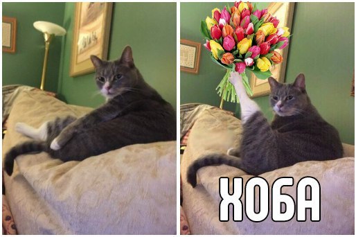 xNFT5vuFEdI.jpg