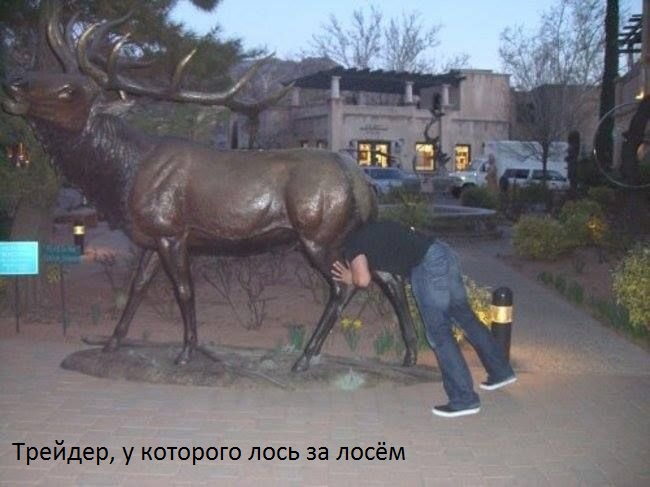 лось.jpg