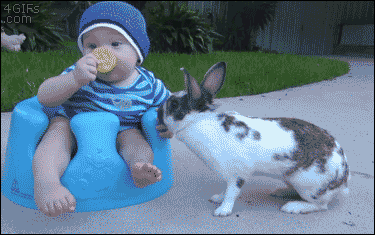 vgif-ru-13125.gif