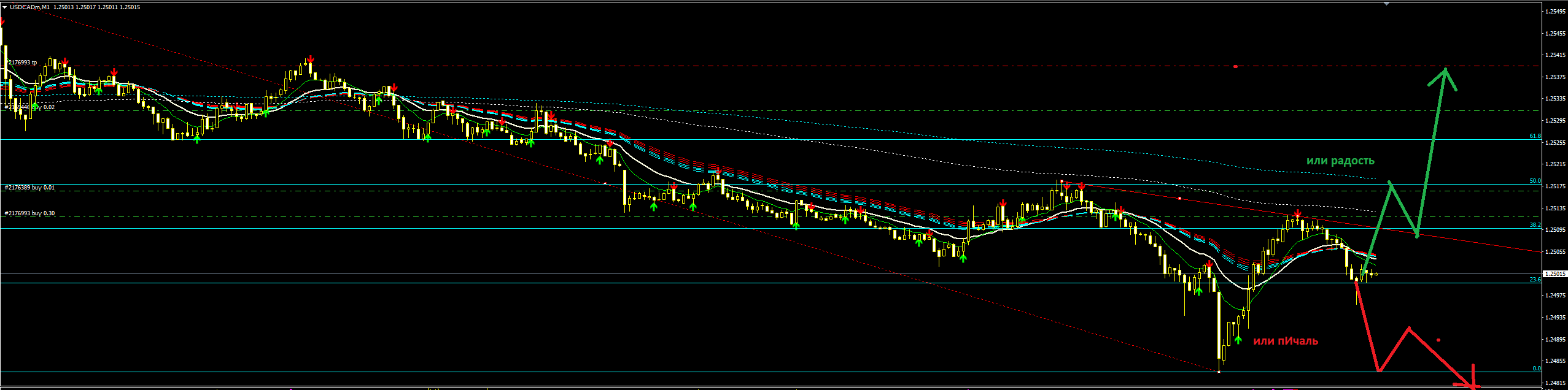 USDCAD_Ложный_пробой_круглого_уровня_4.PNG