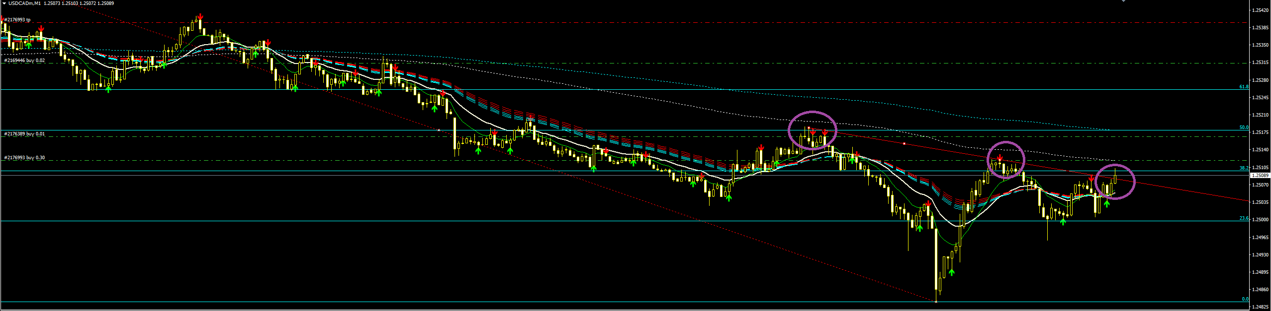 USDCAD_Ложный_пробой_круглого_уровня_5.PNG