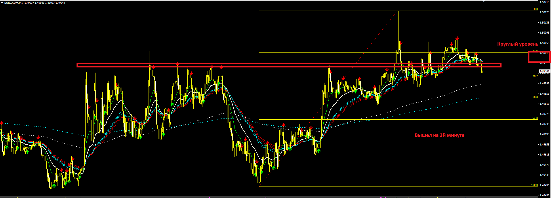 eurcad_ввалил_100к.PNG