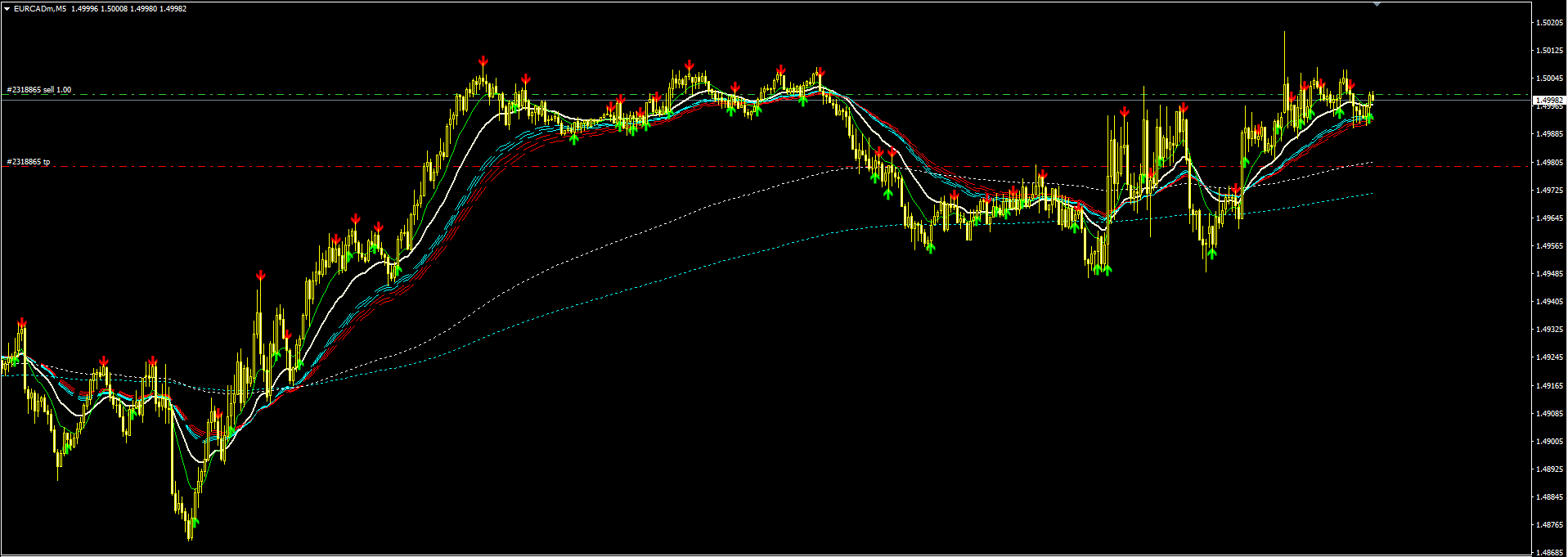 eurcad_part_deux.PNG