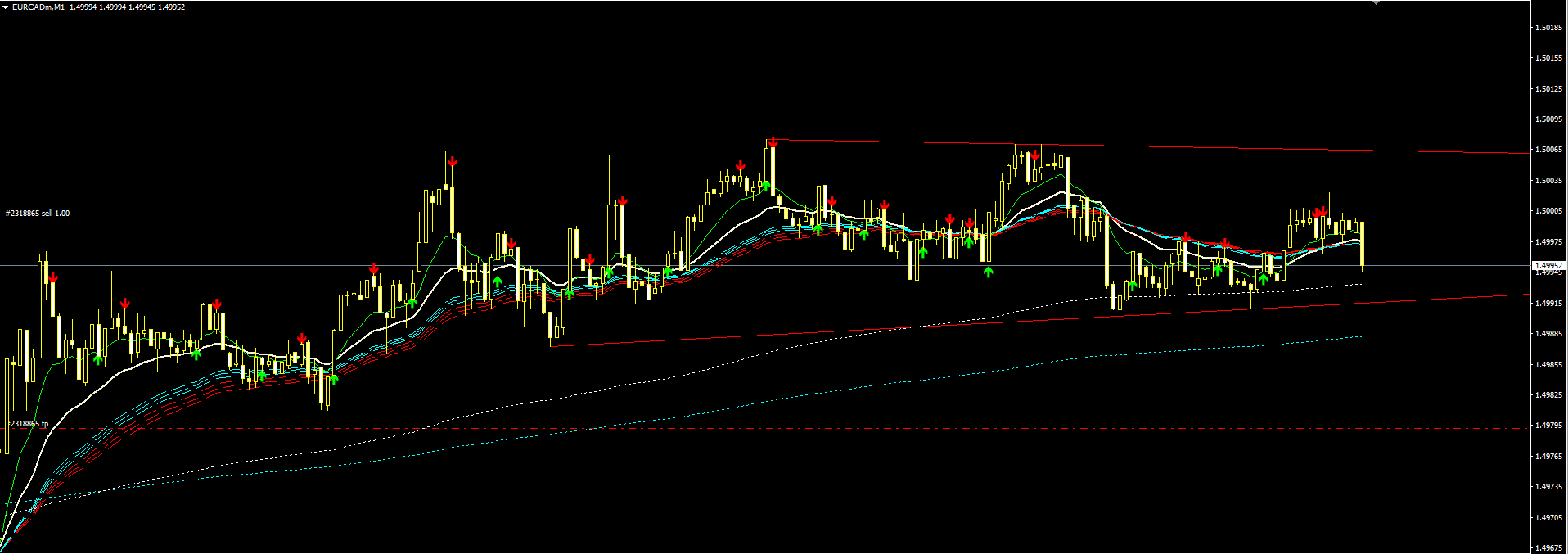 eurcad_part_deux_3.PNG