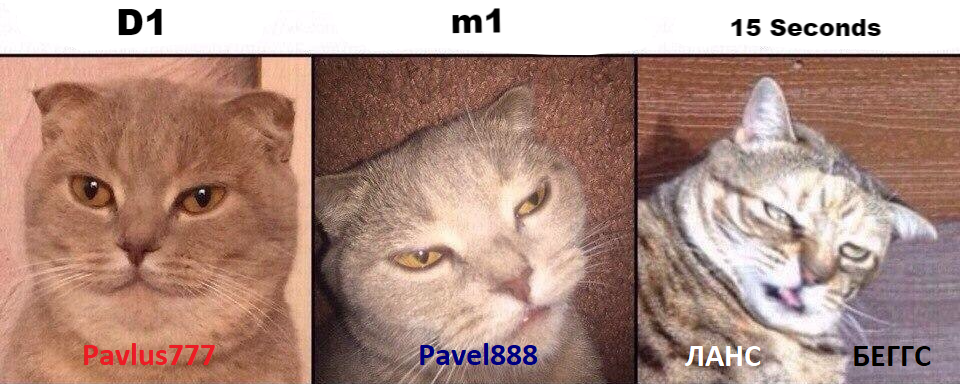 кототрейдеры.png