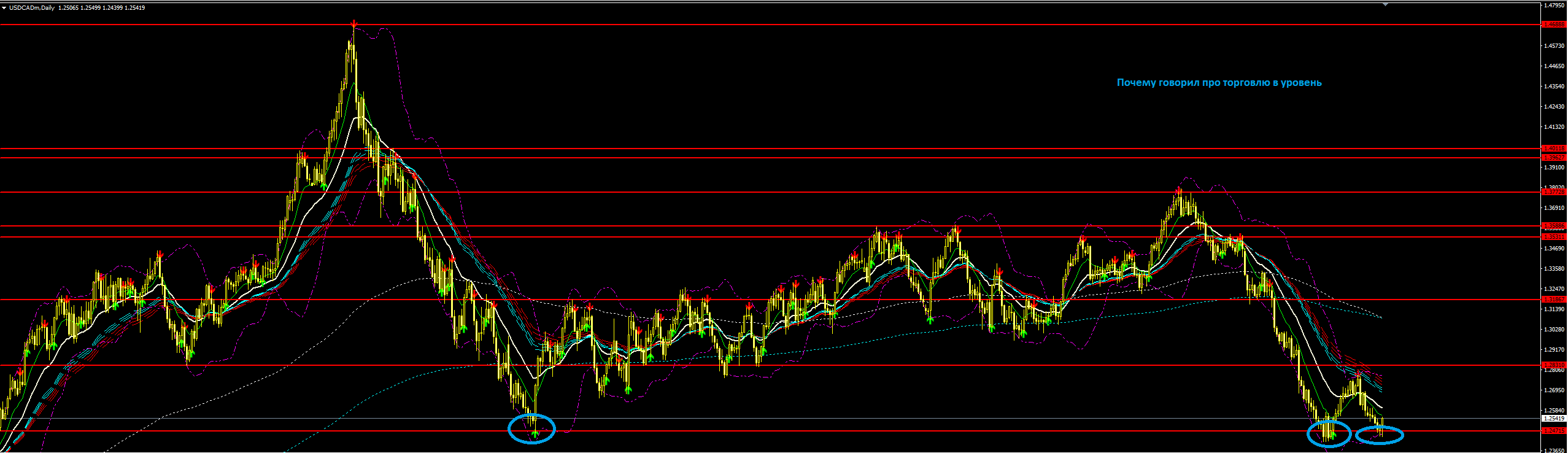 usdcad_d1.PNG